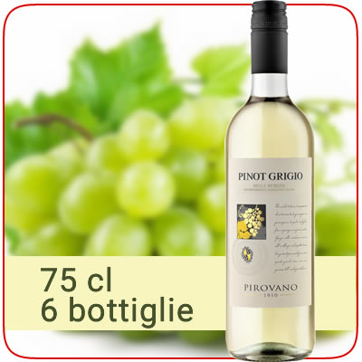 Pinot Grigio - cantine pirovano